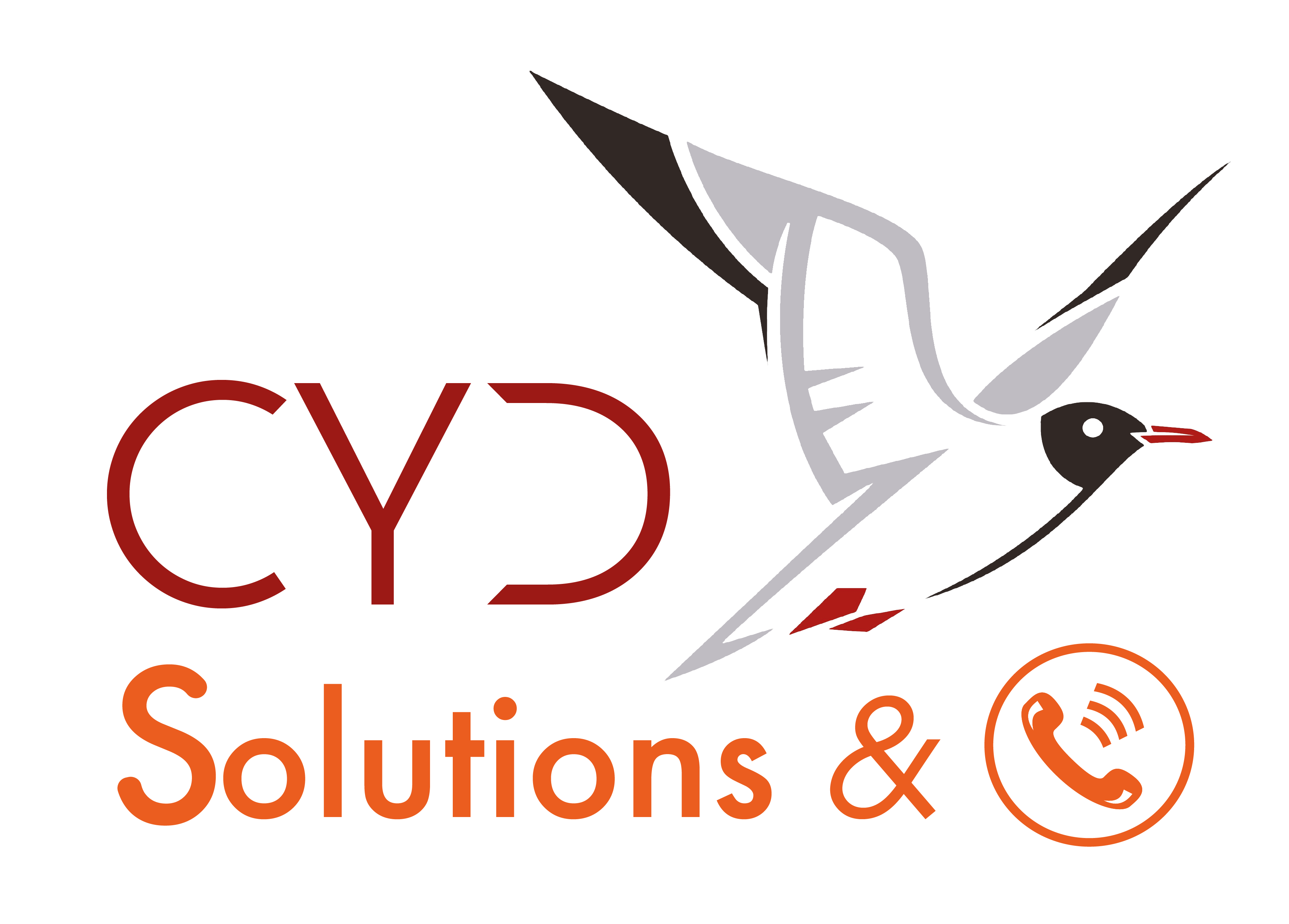 Logo CYD Solutions
